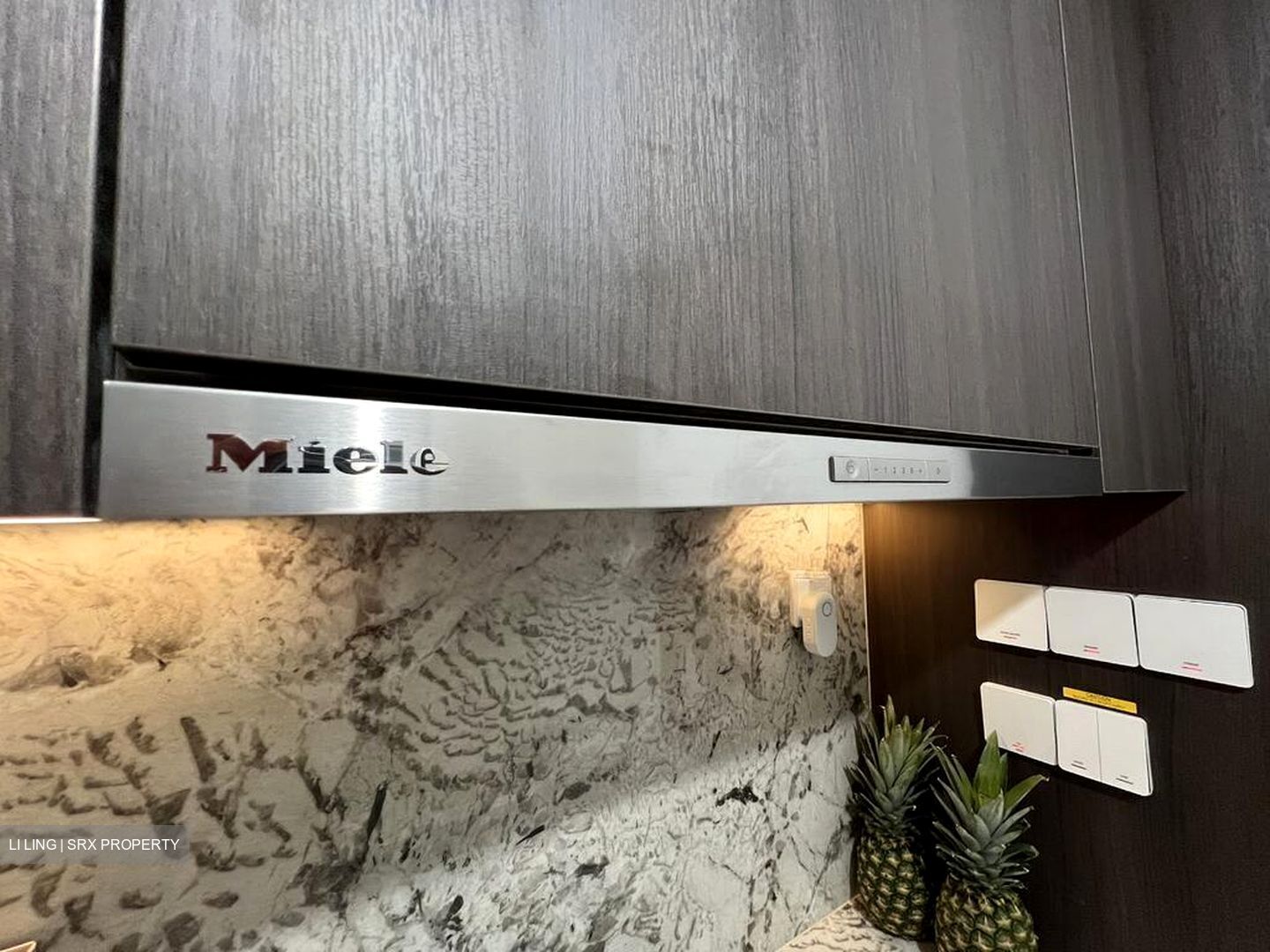 Tembusu Grand (D15), Condominium #520746321